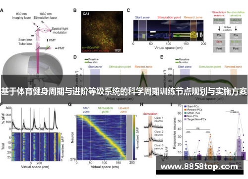 基于体育健身周期与进阶等级系统的科学周期训练节点规划与实施方案