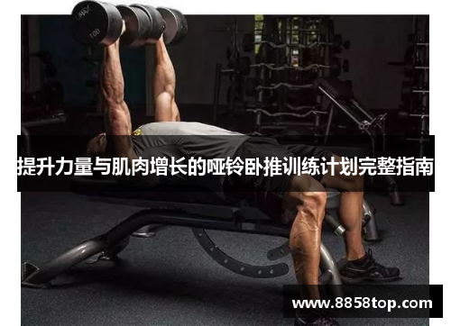 提升力量与肌肉增长的哑铃卧推训练计划完整指南